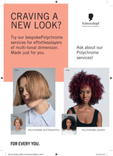 Promo Cards Schwarzkopf Professional pentru Salon
